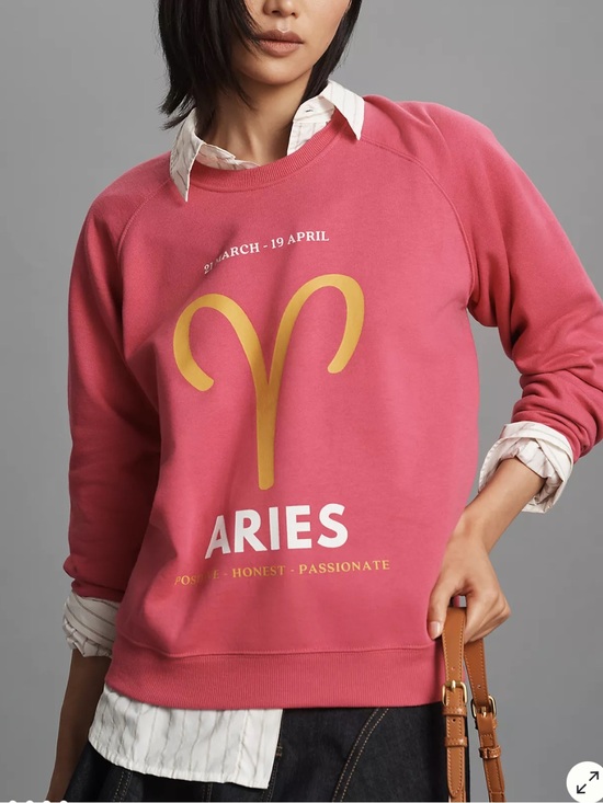 Anthropologie Sweaters - Anthropologie Aries Zodiac Sweatshirt